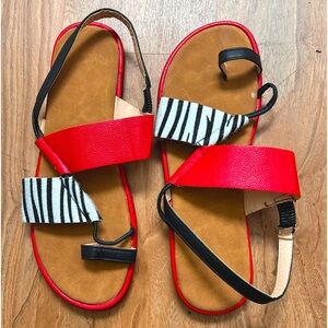 Zebra Striped & Red Sandals Never Worn. Really Cute!